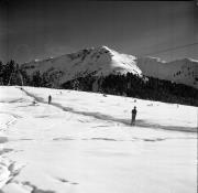 skilift (Positivo) di Foto Hermann Frass, Bozen,Hermann Frass (1963/01/01 - 1963/01/31)