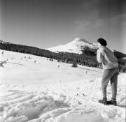 sport invernale (Positivo) di Foto Hermann Frass, Bozen,Hermann Frass (1963/01/01 - 1963/01/31)