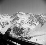 donna (Positivo) di Foto Hermann Frass, Bozen,Hermann Frass (1964/03/01 - 1964/03/31)