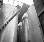 fabbrica (Positivo) di Foto Hermann Frass, Bozen,Hermann Frass (1965/06/01 - 1965/06/63)