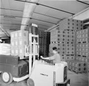 fabbrica (Positivo) di Foto Hermann Frass, Bozen,Hermann Frass (1965/07/01 - 1965/07/31)