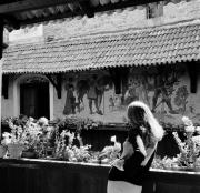 fiore (Positivo) di Foto Hermann Frass, Bozen,Hermann Frass (1968/09/01 - 1968/09/93)