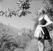 Schloß Hochnaturns (Positivo) di Foto Hermann Frass, Bozen,Hermann Frass (1968/08/01 - 1968/10/31)