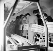 Obstmagazin (Positivo) di Foto Hermann Frass, Bozen,Hermann Frass (1955/11/01 - 1955/11/13)