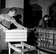 Obstmagazin (Positivo) di Foto Hermann Frass, Bozen,Hermann Frass (1955/11/01 - 1955/11/13)