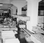 Obstmagazin (Positivo) di Foto Hermann Frass, Bozen,Hermann Frass (1955/11/01 - 1955/11/13)