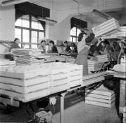 Obstmagazin (Positivo) di Foto Hermann Frass, Bozen,Hermann Frass (1955/11/01 - 1955/11/13)