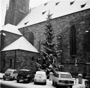 Kirche Bozen Pfarrkirche (Positivo) di Foto Hermann Frass, Bozen,Hermann Frass (1950/01/01 - 1969/12/31)