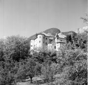 melo (Positivo) di Foto Hermann Frass, Bozen,Hermann Frass (1950/01/01 - 1969/12/31)