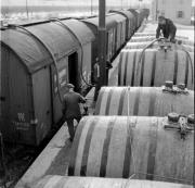 Eisenbahn (Positivo) di Foto Hermann Frass, Bozen,Hermann Frass (1960/01/01 - 1980/12/31)