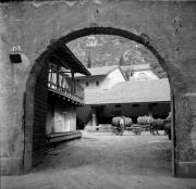 Weinkellerei St. Magdalena (Bozen) (Positivo) di Foto Hermann Frass, Bozen,Hermann Frass (1950/01/01 - 1970/12/31)