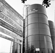 Viehhandel (Gemeinschaftsstall Bozen) (Positivo) di Foto Hermann Frass, Bozen,Hermann Frass (1966/03/03 - 1967/12/31)