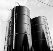 Viehhandel (Gemeinschaftsstall Bozen) (Positivo) di Foto Hermann Frass, Bozen,Hermann Frass (1966/03/03 - 1967/12/31)