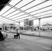 Viehhandel (Gemeinschaftsstall Bozen) (Positivo) di Foto Hermann Frass, Bozen,Hermann Frass (1966/03/03 - 1967/12/31)