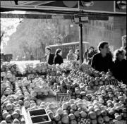 mercato (Positivo) di Foto Hermann Frass, Bozen,Hermann Frass (1954/01/01 - 1969/12/31)