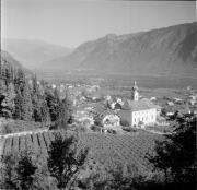 Weinberge in/bei Nals (Positivo) di Foto Hermann Frass, Bozen,Hermann Frass (1957/10/01 - 1957/10/31)