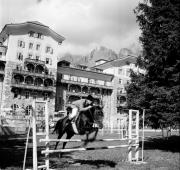 cavaliere (Positivo) di Foto Hermann Frass, Bozen,Hermann Frass (1957/08/01 - 1957/08/31)