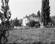 Obstbaum (Positivo) di Foto Hermann Frass, Bozen,Hermann Frass (1960/01/01 - 1985/12/31)