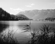 lago (Positivo) di Foto Hermann Frass, Bozen,Hermann Frass (1960/01/01 - 1979/12/31)