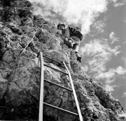 Wanderer/Ausflügler (Positivo) di Foto Hermann Frass, Bozen,Hermann Frass (1957/06/01 - 1957/10/31)