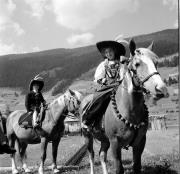 cavallo (Positivo) di Foto Hermann Frass, Bozen,Hermann Frass (1955/07/01 - 1955/07/31)