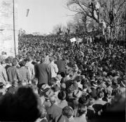 Kundgebung Schloß Sigmundskron 1957 (Positivo) di Foto Hermann Frass, Bozen,Hermann Frass (1957/11/17 - 1957/11/17)