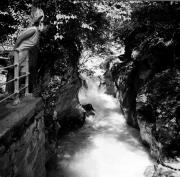 donna (Positivo) di Foto Hermann Frass, Bozen,Hermann Frass (1950/01/01 - 1979/12/31)