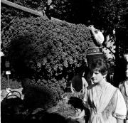 costume tradizionale (Positivo) di Foto Hermann Frass, Bozen,Hermann Frass (1950/01/01 - 1979/12/31)