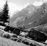 trattore (Positivo) di Foto Hermann Frass, Bozen,Hermann Frass (1955/01/01 - 1979/12/31)