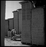 Arbeiter Holzindustrie/Sägerei (Positivo) di Foto Hermann Frass, Bozen,Hermann Frass (1950/01/01 - 1979/12/31)