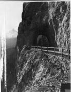 autobus (Positivo) di Foto Hermann Frass, Bozen,Hermann Frass (1950/01/01 - 1979/12/31)