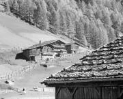 prato (Positivo) di Foto Hermann Frass, Bozen,Hermann Frass (1950/01/01 - 1979/12/31)