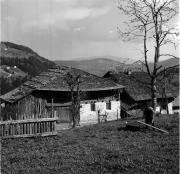 prato (Positivo) di Foto Hermann Frass, Bozen,Hermann Frass (1950/01/01 - 1979/12/31)