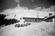 Alm Zirogalm (Brenner) (Positivo) di Foto Hermann Frass, Bozen,Hermann Frass (1950/01/01 - 1965/12/31)