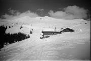 Alm Zirogalm (Brenner) (Positivo) di Foto Hermann Frass, Bozen,Hermann Frass (1950/01/01 - 1965/12/31)