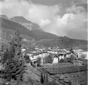 vigneto (Positivo) di Foto Hermann Frass, Bozen,Hermann Frass (1956/01/01 - 1969/12/31)
