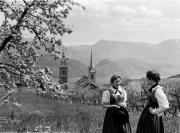 Kirche Kaltern St. Nikolaus Kuratiekirche (Positivo) di Foto Hermann Frass, Bozen,Hermann Frass (1950/05/01 - 1975/12/31)