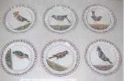 Teller mit Vogeldekor, Fayence