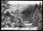 Landschaft (Positivo) di Bährendt, Leo (1902/01/01 - 1957/12/31)