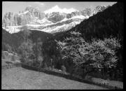 Landschaft (Positivo) di Bährendt, Leo (1902/01/01 - 1957/12/31)