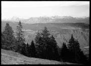 Landschaft (Positivo) di Bährendt, Leo (1902/01/01 - 1957/12/31)