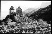 Burg und Schloß (Positivo) di Bährendt, Leo (1902/01/01 - 1957/12/31)