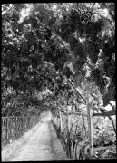 Landschaft (Positivo) di Bährendt, Leo (1902/01/01 - 1957/12/31)