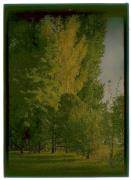 Landschaft (Positivo) di Bährendt, Leo (1902/01/01 - 1958/12/31)