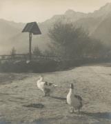 Straße (Positivo) (1918/01/01 - 1960/12/31)