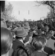 Kundgebung Schloß Sigmundskron 1957 (Positivo) di Foto Hermann Frass, Bozen,Hermann Frass (1957/11/17 - 1957/11/17)