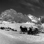 Pferdeschlitten (Positivo) di Foto Elisabeth Fuchs-Hauffen, Überlingen/Bodensee,Fuchs-Hauffen, Elisabeth (1968/03/01 - 1968/03/31)