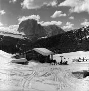 Pferdeschlitten (Positivo) di Foto Elisabeth Fuchs-Hauffen, Überlingen/Bodensee,Fuchs-Hauffen, Elisabeth (1977/03/01 - 1977/03/31)