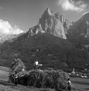 Heuernte (Grasernte) (Positivo) di Foto Elisabeth Fuchs-Hauffen, Überlingen/Bodensee,Fuchs-Hauffen, Elisabeth (1969/07/01 - 1969/07/31)