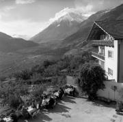 trattoria (Positivo) di Foto Elisabeth Fuchs-Hauffen, Überlingen/Bodensee,Fuchs-Hauffen, Elisabeth (1964/10/01 - 1964/10/31)